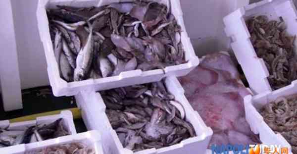 甲肝风险上升！那不勒斯突查16家鱼店，三家被查出问题