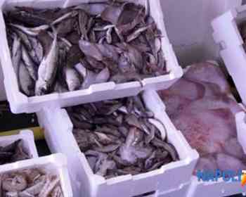 甲肝风险上升！那不勒斯突查16家鱼店，三家被查出问题