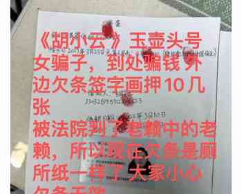 胡小云玉壶头号女骗子胡小云