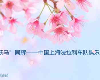 廿载风华 “跃马”同辉——﻿中国上海法拉利车队俱乐部二十周年庆典