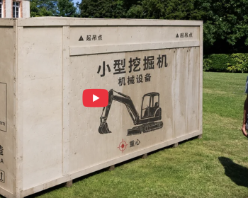 “以为交了智商税！”欧洲夫妇跨国网购中国微型挖掘机，结局真香