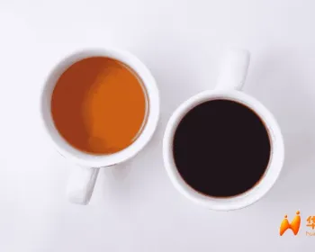 咖啡和茶哪个更护骨？超9000人长期跟踪研究给出答案