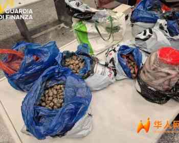 温州飞米兰的航班15名华侨被抽查，400公斤海鲜销毁