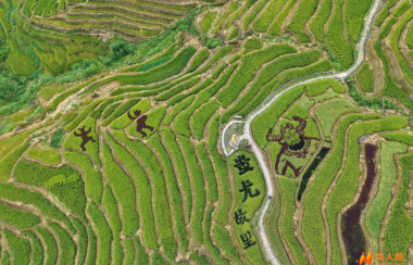 第十届东亚地区农业文化遗产会议举行 共探农遗保护与开发