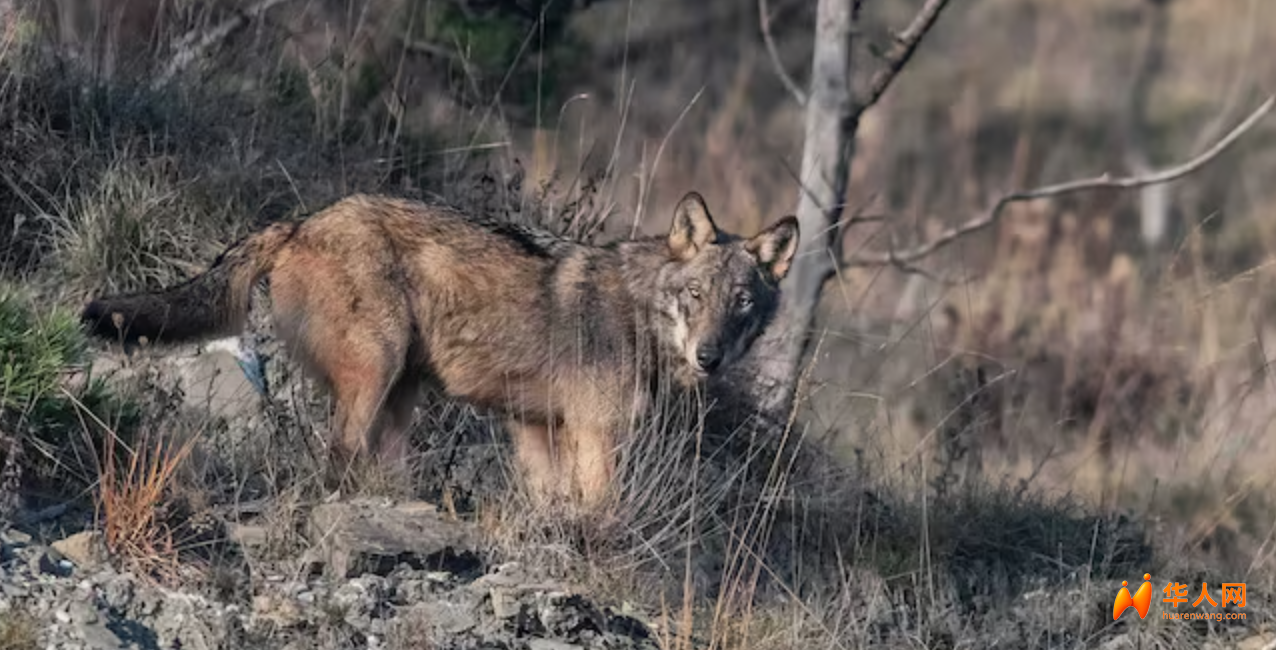 截屏2025-09-09 23.15.16.png 截屏2025-09-09 23.15.16.png