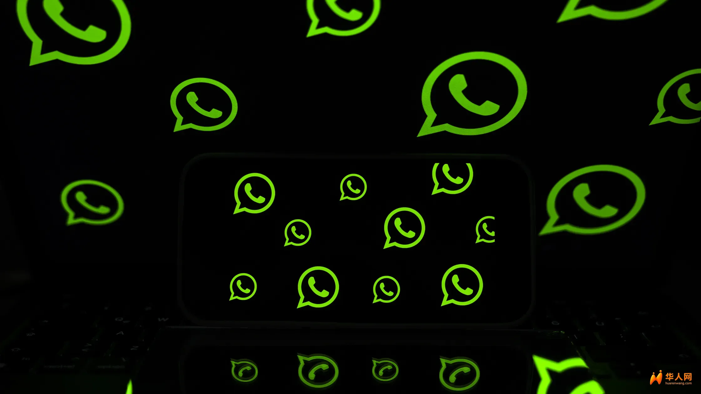 2273219212.webp