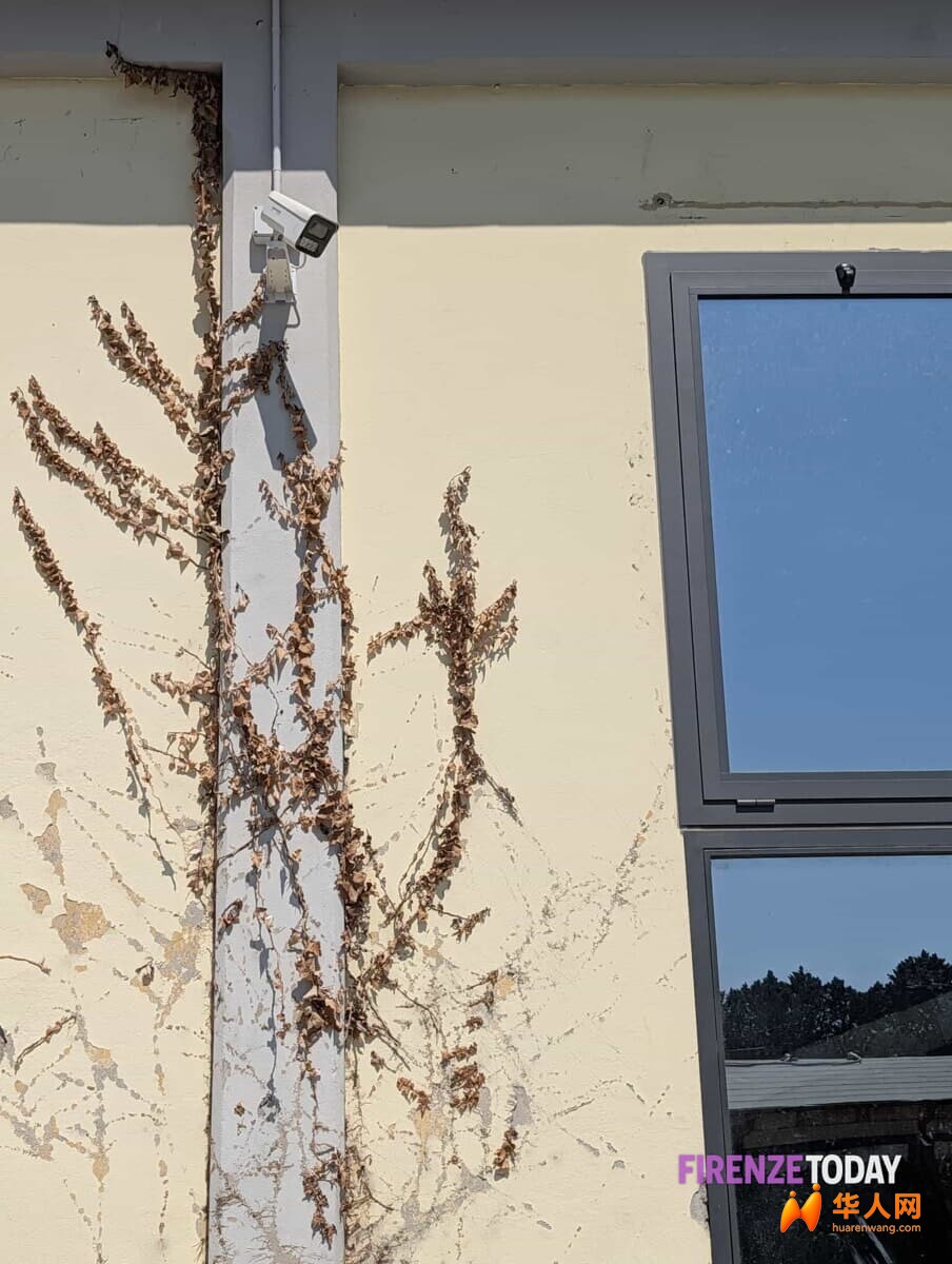 Spari e accoltellati a Campi Bisenzio, circolo cinese sotto sequestro 3.jpeg