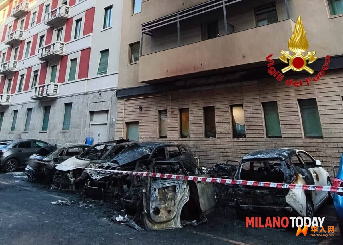 Le auto carbonizzate - Foto Vigili del fuoco (1).jpg